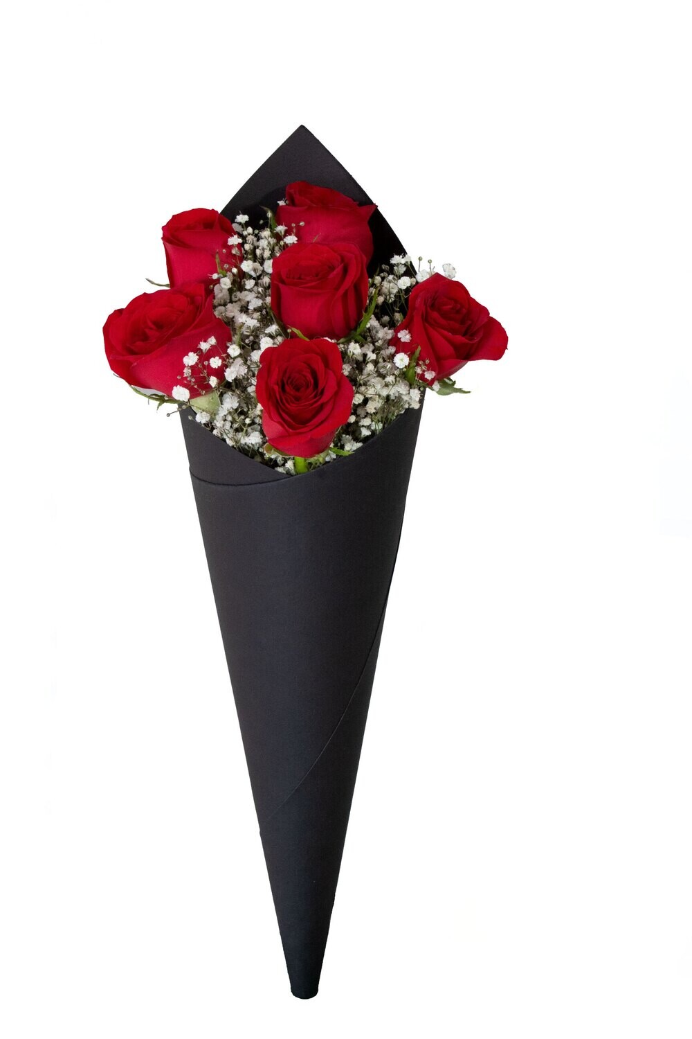 CONO AMOR MIO