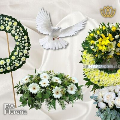 CONDOLENCIAS 🌼