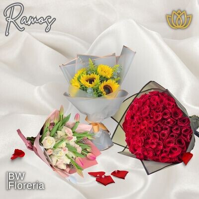 RAMOS 💐
