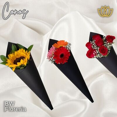 CONOS CON FLORES 🌷