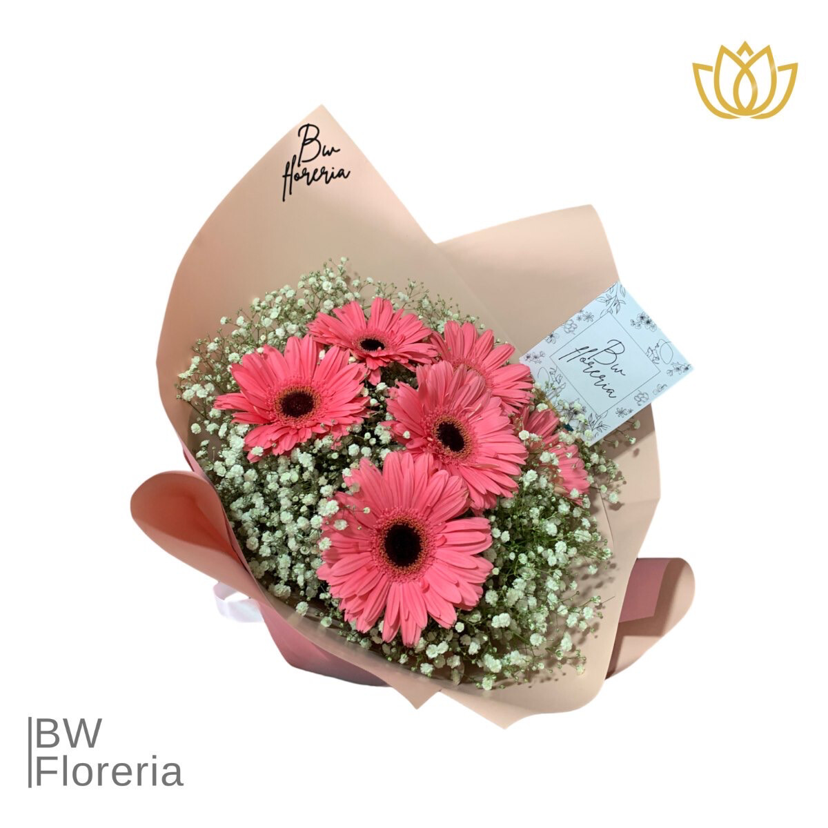 Gerberas en las nubes