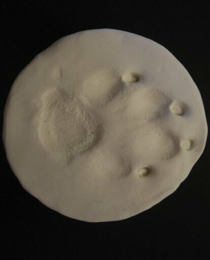 Remembrance Paw Print