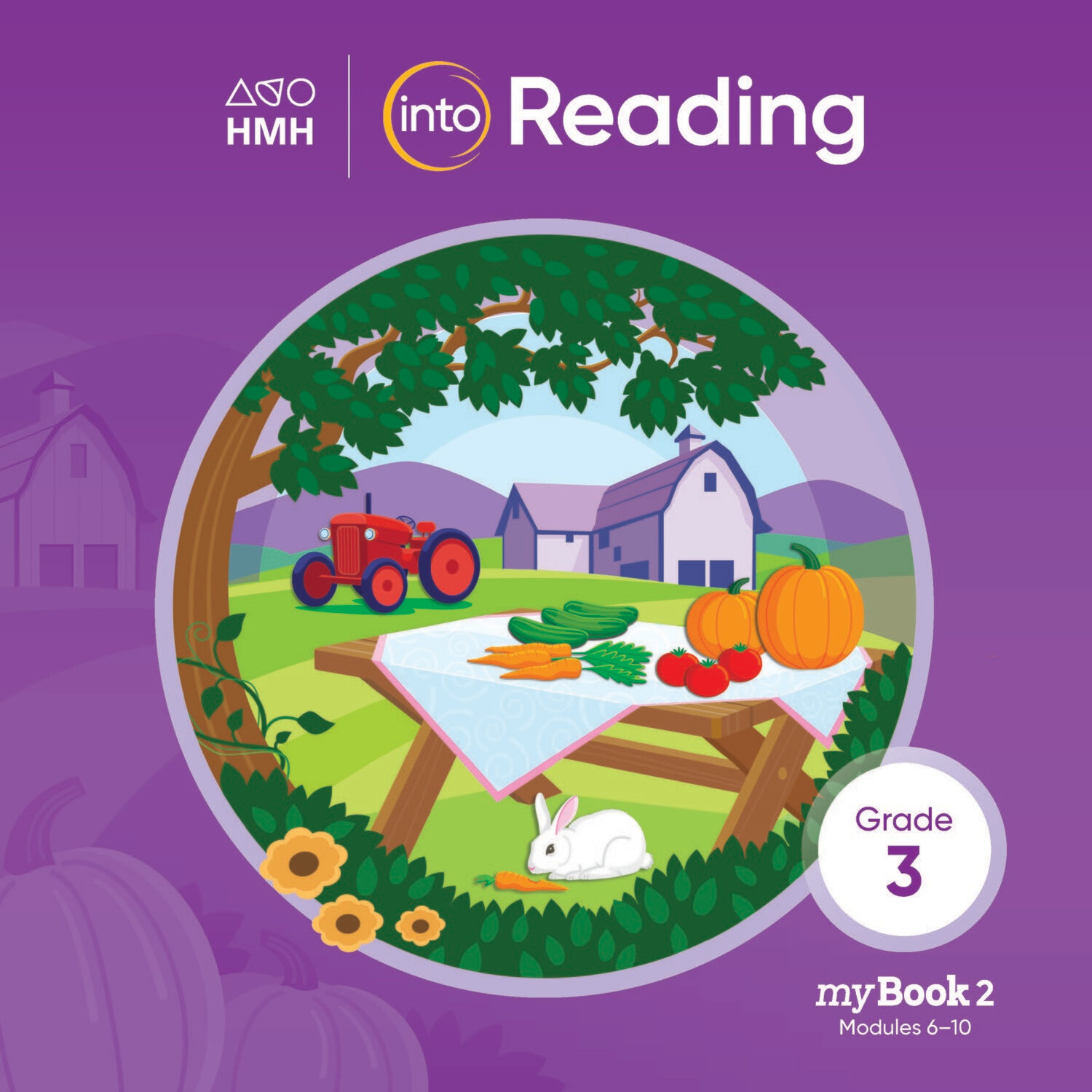 TERCERO - INTO READING STUDENT MYBOOK GRADE 3 SOFTCOVER SET - HMH - 22 - ISBN 9780358525974