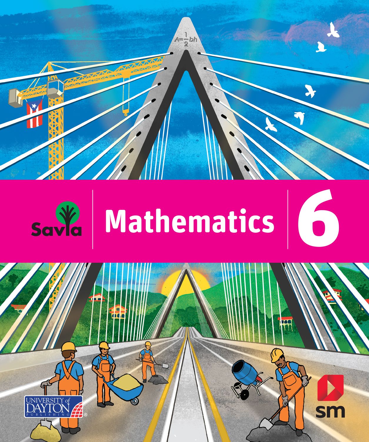SEXTO - SAVIA MATHEMATICS 6 BOOK AND DIGITAL ACCESS - SM - 21 - ISBN 9781630148805