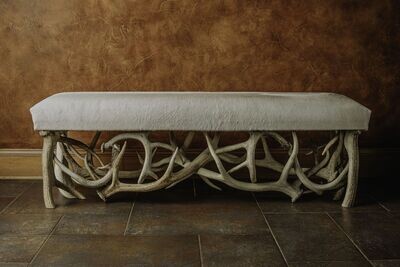 5FT. BLEACHED COWHIDE BENCH WITH BLEACHED ANTLERS