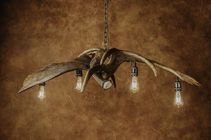 4 LT. ELONGATED MOOSE CHANDELIER WITH EDISON BULBS