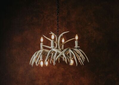 8 LT. BLEACHED WHITETAIL CHANDELIER WITH INVERTED BASE