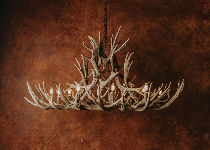 10 LT. ELONGATED TROPHY MULE DEER CHANDELIER