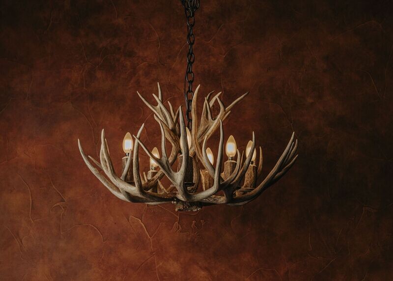 6 LT. TRADITIONAL MULE DEER CHANDELIER