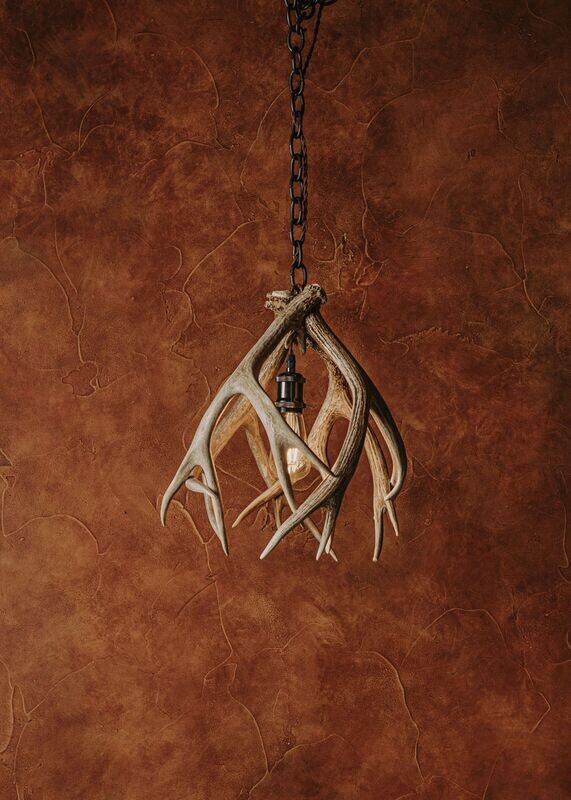 1 LT. MULE DEER PENDANT WITH EDISON BULB