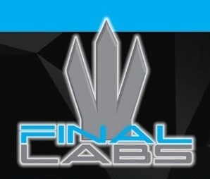FINAL LABS