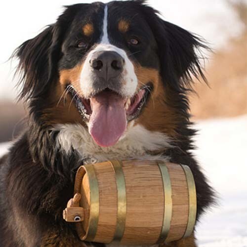 Keg Swiss Mountain Dog Collar Sleigh Bell Keg With Free Decal