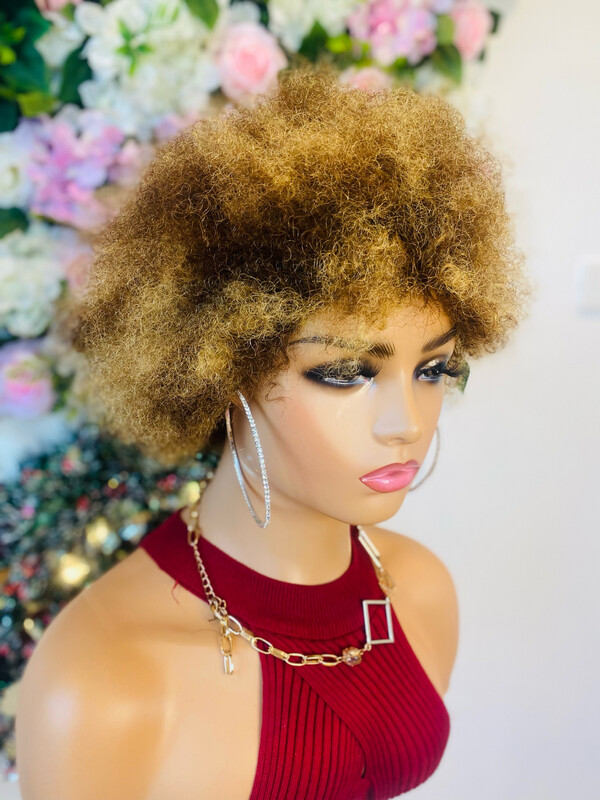 Afro Blond/Brown Wig