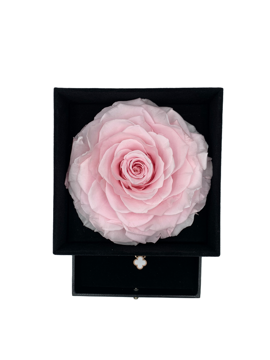 Big Real Preserved Pink Rose - Gift Box with Jewelry