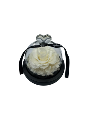 White Preserved Rose in Glass Dome