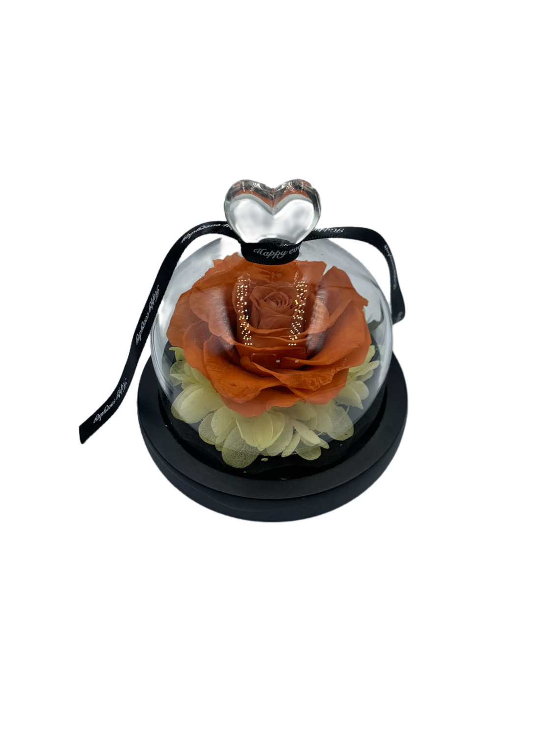 Orange Preserved Rose in Glass Dome