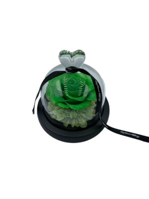 Green Preserved Rose in Glass Dome
