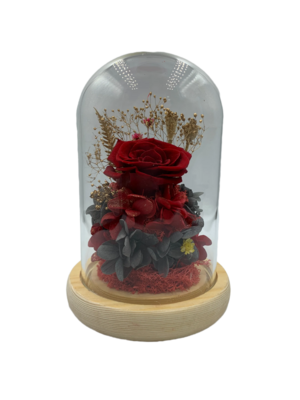 Red Preserved Rose with LED