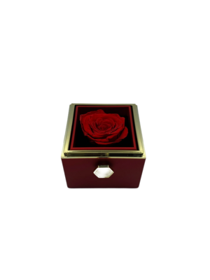 Rotating Red Gift Box with Jewelry