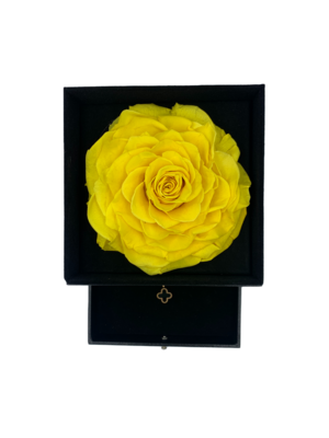 Big Real Preserved Yellow Rose - Gift Box with Jewelry