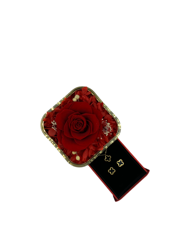 Red Preserved Rose in Elegant Gift Box | Luxury Romantic Gift