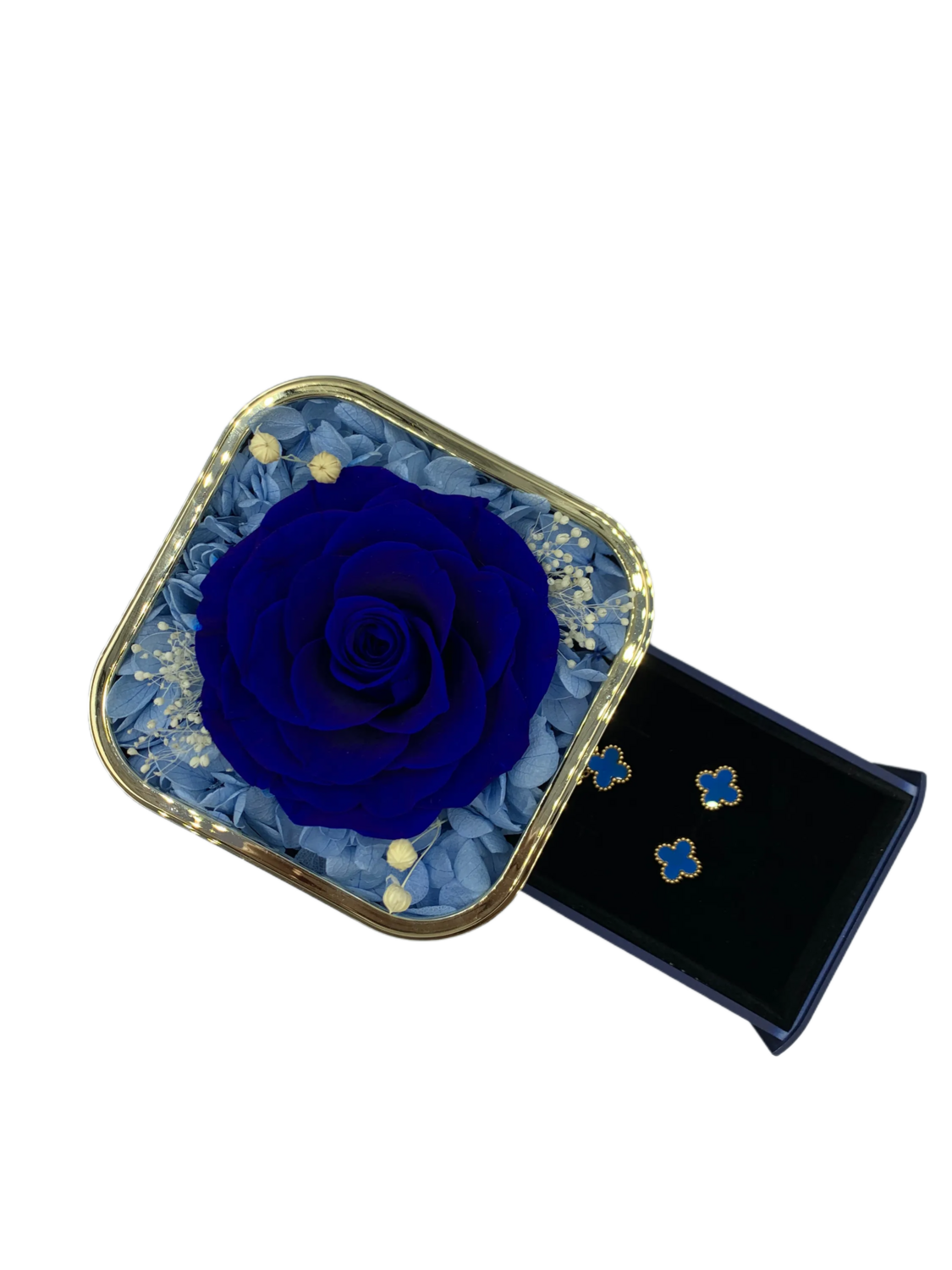 Blue Preserved Rose in Elegant Gift Box