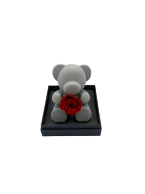 Bear Holding Red Preserved Real Rose