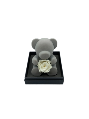 Bear Holding White Preserved Real Rose