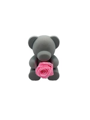 Bear Holding Pink Preserved Real Rose