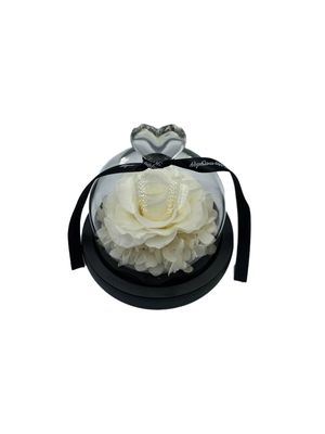White Preserved Rose in Glass Dome