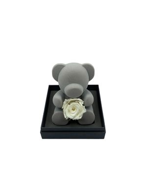 Bear Holding White Preserved Real Rose | Luxury Romantic Gift