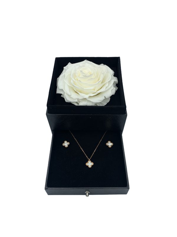 Real Preserved White Rose