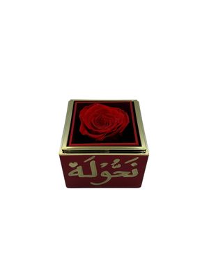 Rotating Red Gift Box