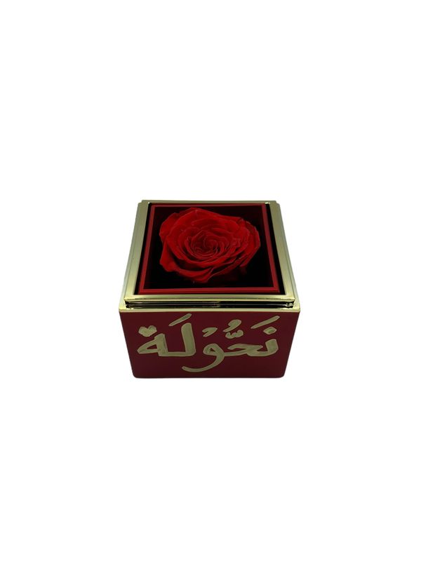 Rotating Red Gift Box