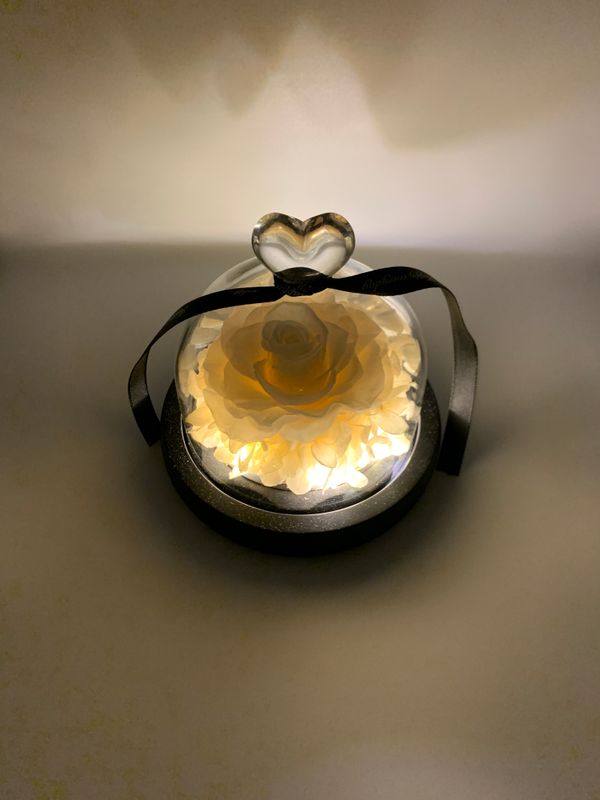 White Preserved Rose with LED