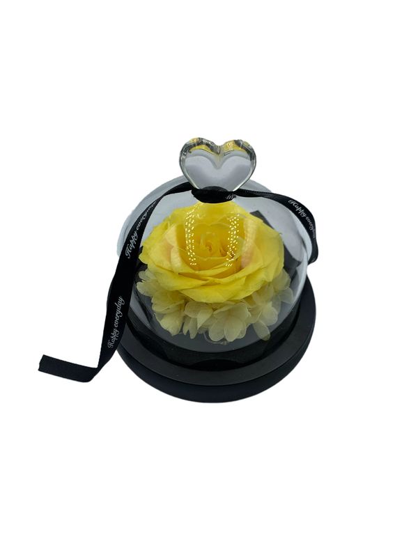 Yellow Preserved Rose with LED