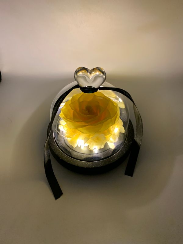 Yellow Preserved Rose with LED