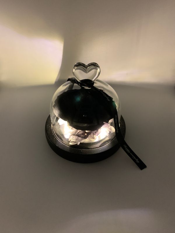 Black Rose in Glass Dome with LED