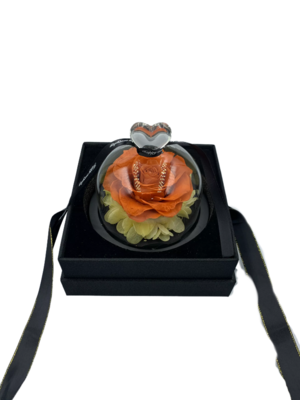 Orange Preserved Rose with LED
