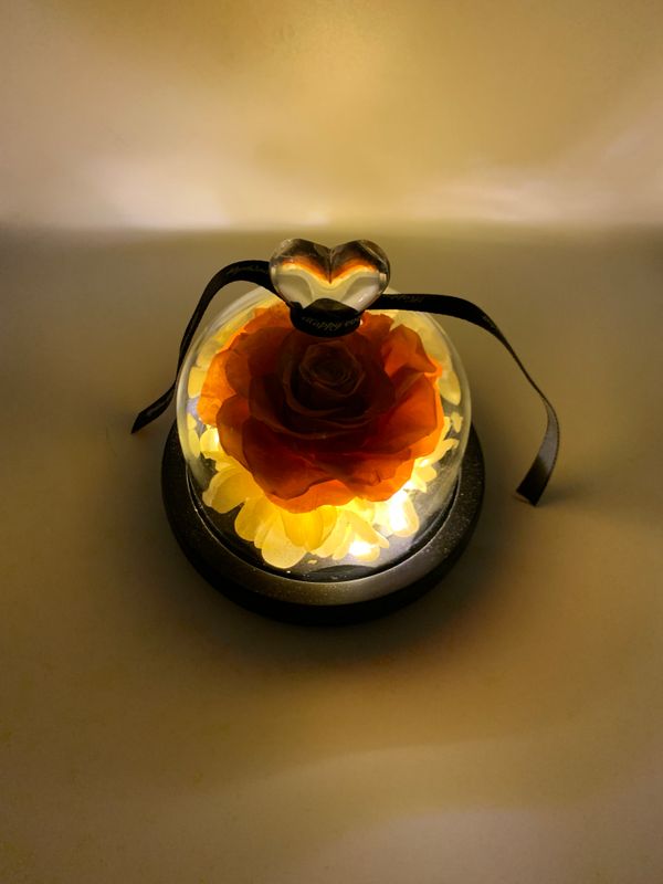Orange Preserved Rose with LED