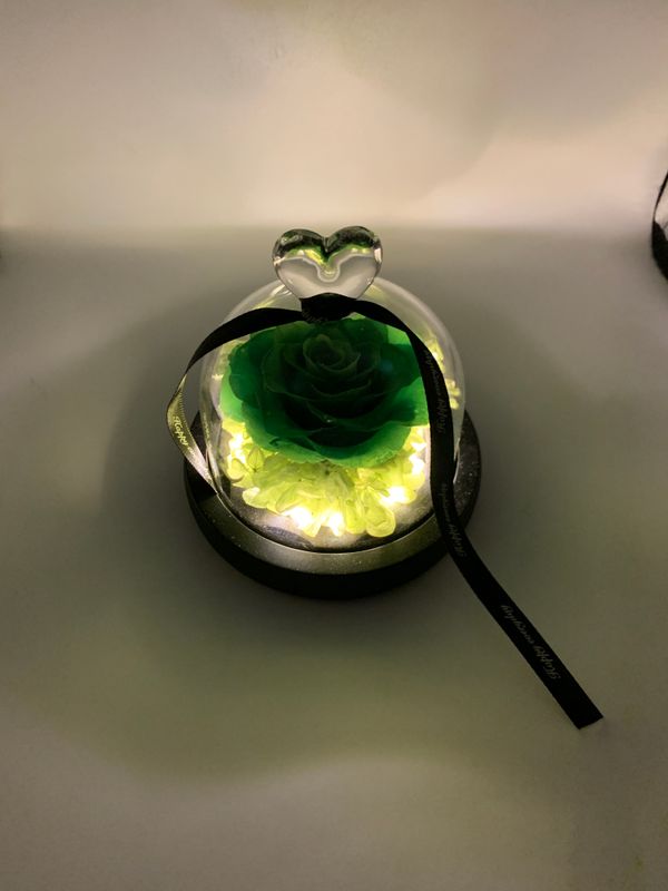 Green Preserved Rose with LED