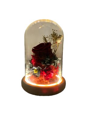 Red Preserved Rose with LED
