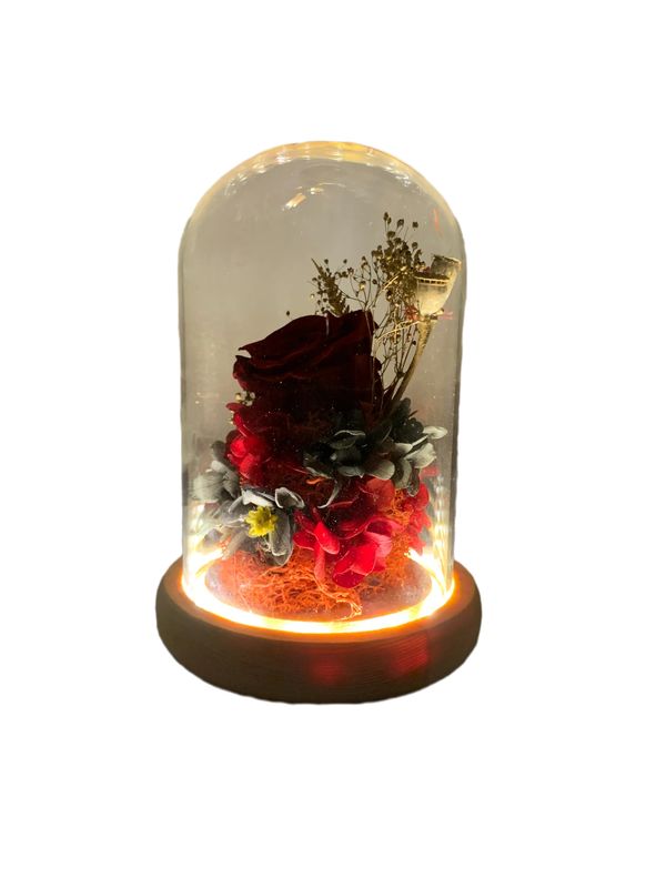 Red Preserved Rose with LED