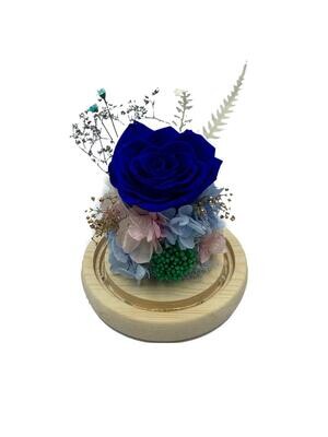 Blue Preserved Rose with LED