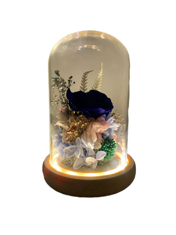 Blue Preserved Rose with LED