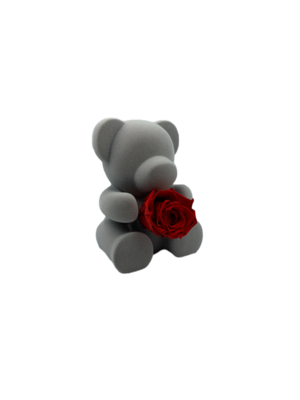 Bear with Red Real Rose