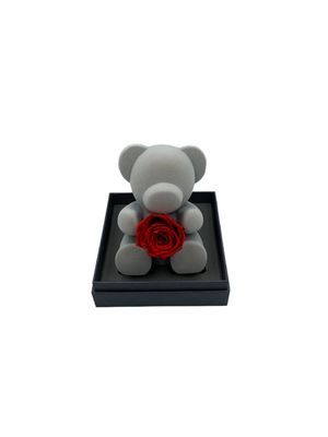 Bear with Red Real Rose