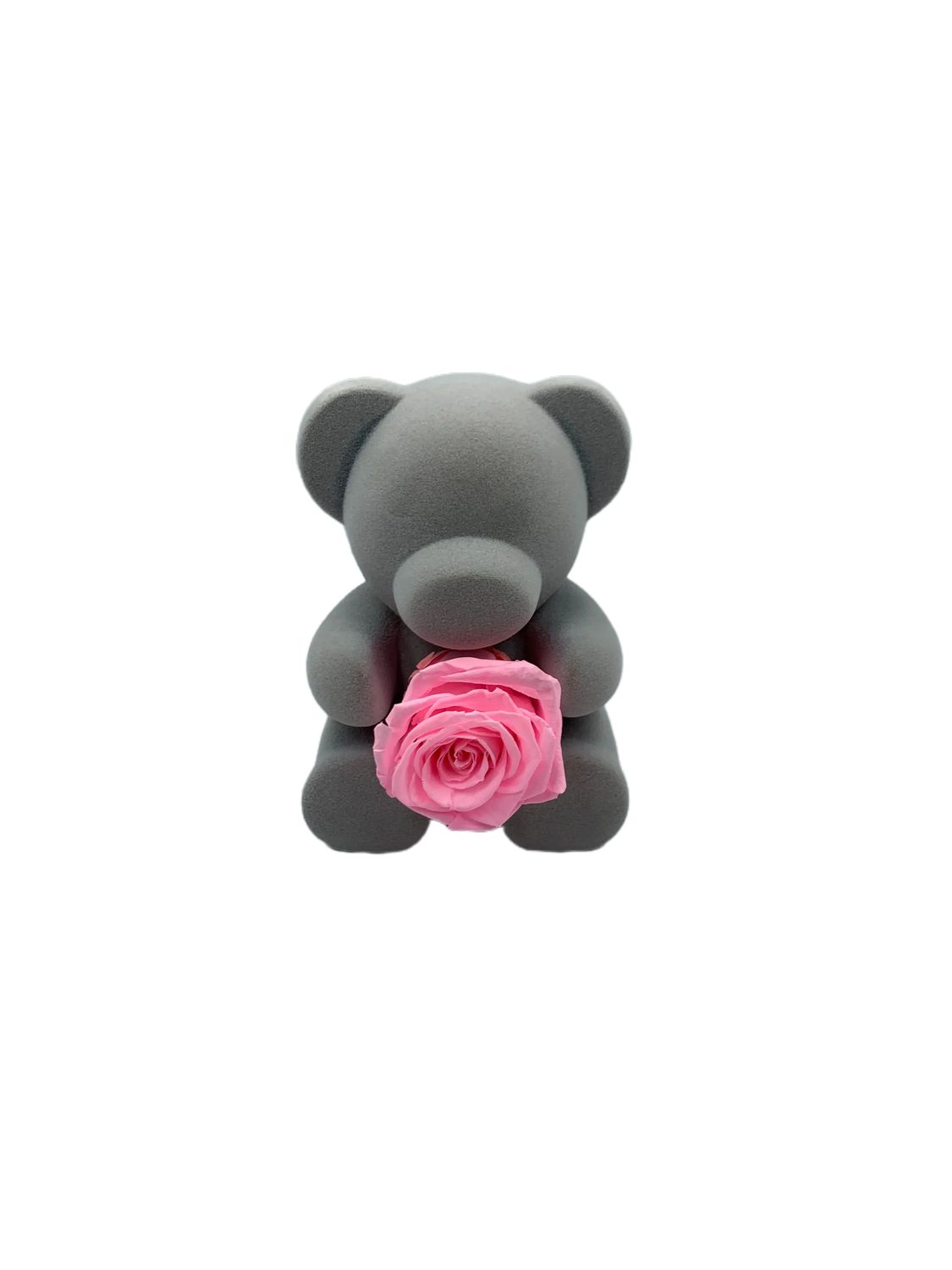 Bear with Pink Real Rose