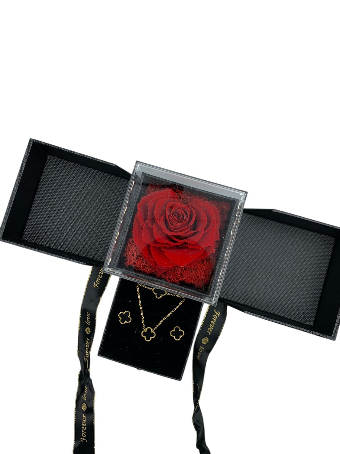 Timeless Rose Collection