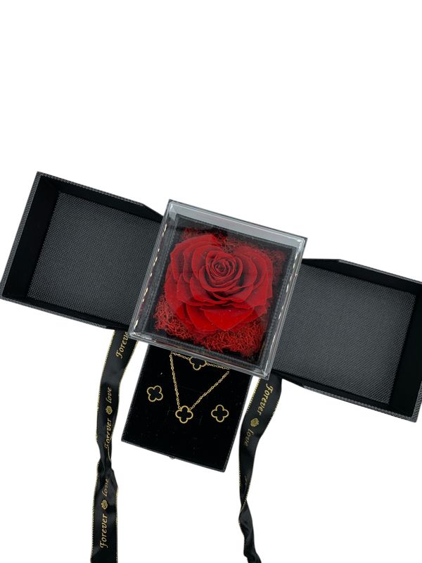 Timeless Rose Collection